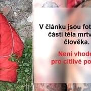 Poznáte zemřelého muže nalezeného v Plzni